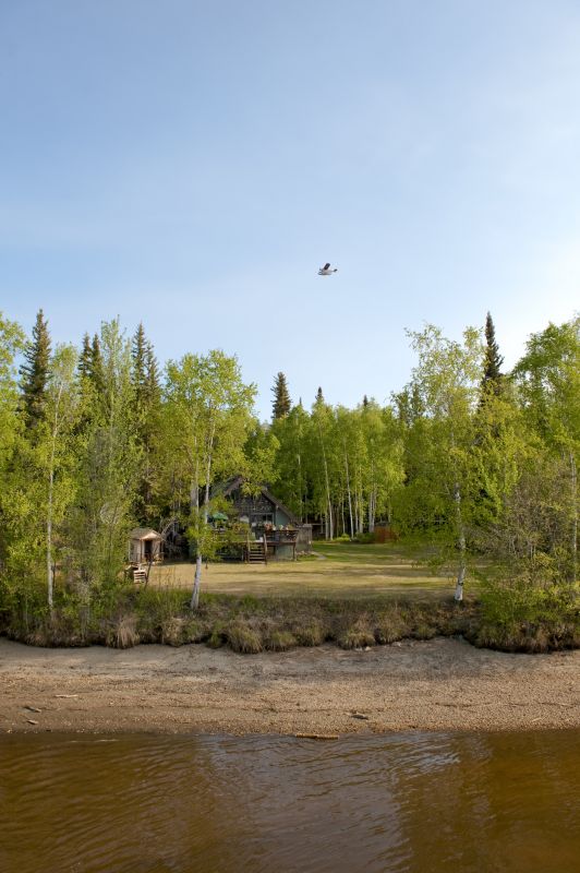 Clearing Brush and Trees