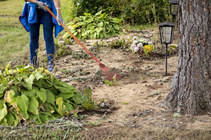 Land Clearing Companies