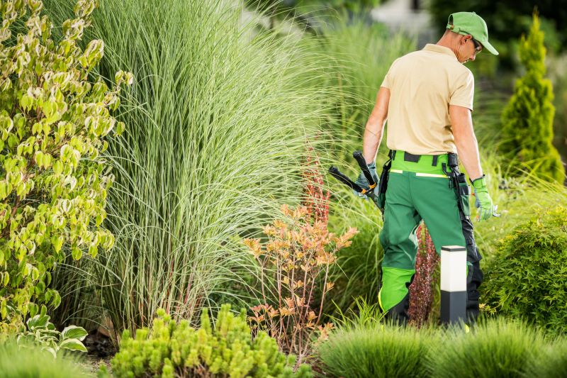 Vegetation Control Experts