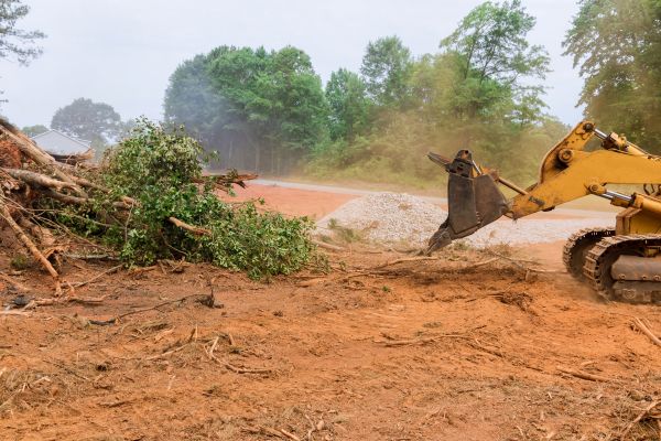 Forestry Mulching Service in Champaign