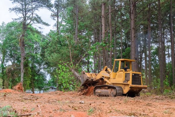 Property Clearing in Champaign