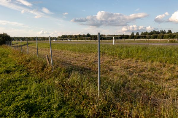 Property Line Clearing in Champaign