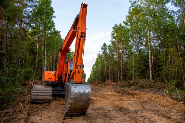 Backhoe Land Clearing in Champaign