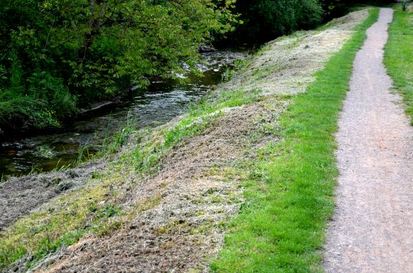 Trail Cutting in Champaign